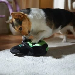 Frisco Halloween Bad Witch Round Plush Squeaky Dog Toy -Pet Supplies Discount Store 344006 PT3. AC SS1800 V1657657029