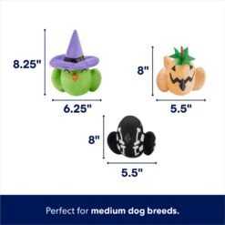 Frisco Halloween Birds Plush Squeaky Dog Toy -Pet Supplies Discount Store 344010 PT1. AC SS1800 V1689876475
