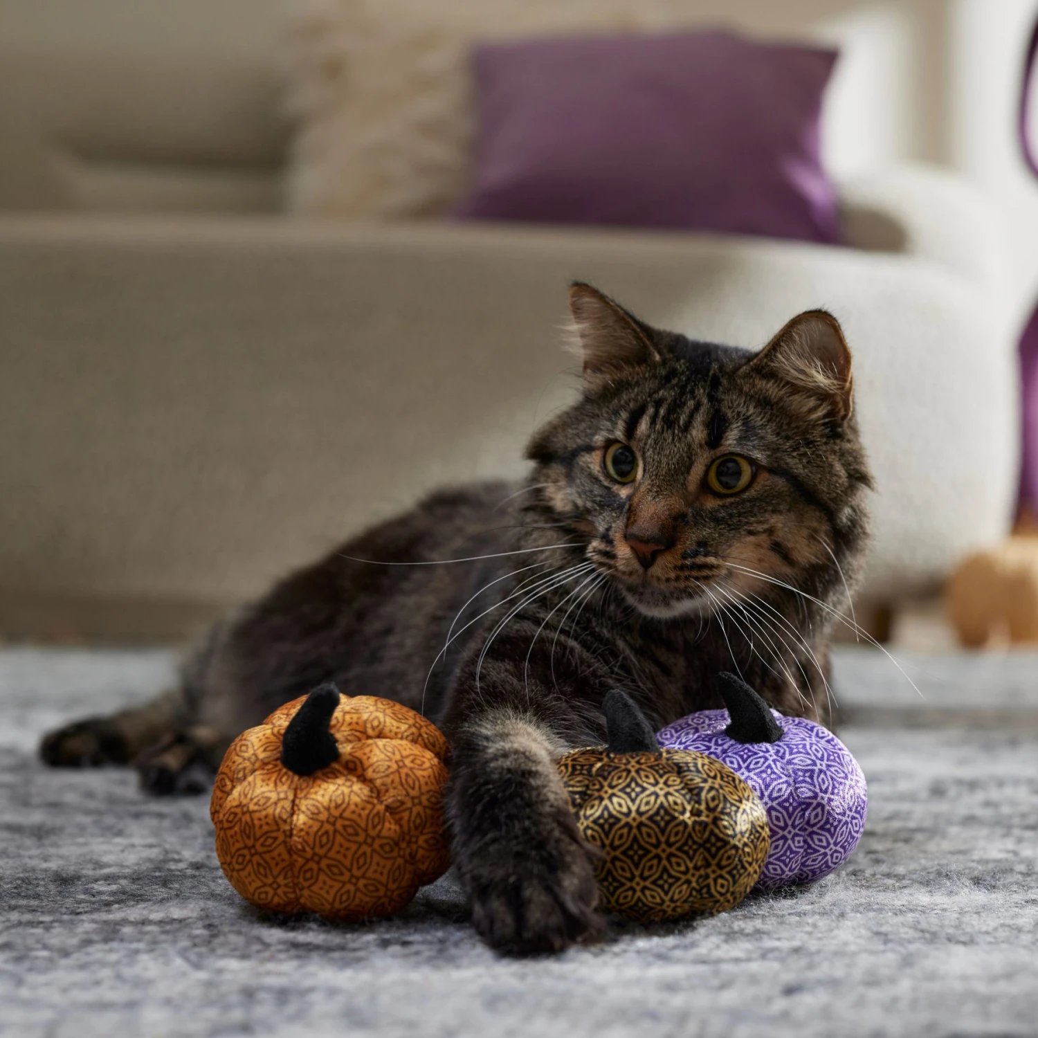 Frisco Halloween Bougie Pumpkins Plush Cat Toy With Catnip 5 Frisco Halloween Bougie Pumpkins Plush Cat Toy With Catnip - Image 3