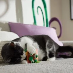 Frisco Haunted Burger Plush Cat Toy With Catnip 8 Frisco Haunted Burger Plush Cat Toy With Catnip -Pet Supplies Discount Store 344056 PT3. AC SS1800 V1657657030