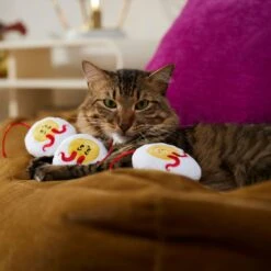 Frisco Halloween Haunted Deviled Eggs Plush Cat Toy With Catnip 8 Frisco Halloween Haunted Deviled Eggs Plush Cat Toy With Catnip -Pet Supplies Discount Store 344058 PT3. AC SS1800 V1657657030