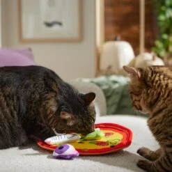 Frisco Halloween Spooky Pizza Interactive Plush Cat Toy With Catnip -Pet Supplies Discount Store 344066 PT3. AC SS1800 V1657657031