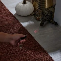 Frisco Halloween Skull Laser Cat Toy 10 Frisco Halloween Skull Laser Cat Toy -Pet Supplies Discount Store 344068 PT3. AC SS1800 V1659279988