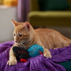 Frisco Halloween Elixirs Plush Cat Toy With Catnip -Pet Supplies Discount Store 344070 PT3. AC SS1800 V1657657033