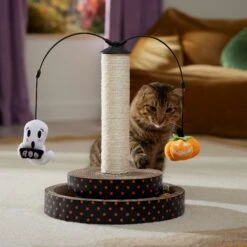 Frisco Halloween Pumpkin And Ghost Interactive Scratcher Cat Toy With Catnip -Pet Supplies Discount Store 344074 PT3. AC SS1800 V1657657033