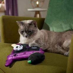 Frisco Halloween Magical Wardrobe Interactive Plush Cat Toy With Catnip -Pet Supplies Discount Store 344078 PT3. AC SS1800 V1657657033