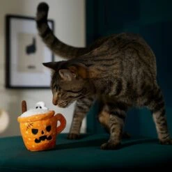 Frisco Halloween Spooky Pumpkin Spice Latte Plush Cat Toy With Catnip -Pet Supplies Discount Store 344080 PT3. AC SS1800 V1657657033