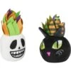 Frisco Halloween Succulents Plush Cat Toy With Catnip, 2 Count -Pet Supplies Discount Store 344082 MAIN. AC SS1800 V1657657033