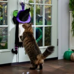 Frisco Halloween Witch Doorknob Hanger Cat Toy With Catnip -Pet Supplies Discount Store 344092 PT3. AC SS1800 V1657657035