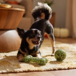 Frisco Halloween Glow In The Dark TPR Squeaky Bone & Ball Dog Toy -Pet Supplies Discount Store 344130 PT3. AC SS1800 V1657657042