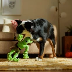 Frisco Halloween Goblin Plush With Rope Squeaky Dog Toy 9 Frisco Halloween Goblin Plush With Rope Squeaky Dog Toy -Pet Supplies Discount Store 344132 PT3. AC SS1800 V1657657042