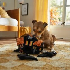 Frisco Halloween Haunted House Hide & Seek Puzzle Plush Squeaky Dog Toy -Pet Supplies Discount Store 344136 PT3. AC SS1800 V1657657042