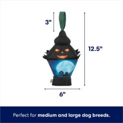 Frisco Halloween Lantern Ballistic Nylon Plush Squeaky Dog Toy -Pet Supplies Discount Store 344138 PT1. AC SS1800 V1689878449