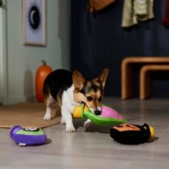 Frisco Halloween Potion Bottles Plush Squeaky Dog Toy -Pet Supplies Discount Store 344144 PT3. AC SS1800 V1657657048