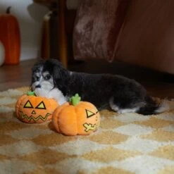 Frisco Halloween Scary Jack-O-Lantern Plush Squeaky Dog Toy -Pet Supplies Discount Store 344158 PT3. AC SS1800 V1657657048