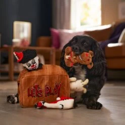 Frisco Halloween Scary Toy Box Hide & Seek Puzzle Plush Squeaky Dog Toy 11 Frisco Halloween Scary Toy Box Hide & Seek Puzzle Plush Squeaky Dog Toy -Pet Supplies Discount Store 344160 PT3. AC SS1800 V1657657049