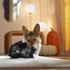 Frisco Halloween Spooky Owl Plush Squeaky Dog Toy -Pet Supplies Discount Store 344162 PT3. AC SS1800 V1657657049