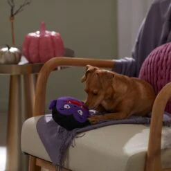 Frisco Halloween Vampire Round Plush Squeaky Dog Toy -Pet Supplies Discount Store 344168 PT3. AC SS1800 V1657657049