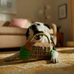 Frisco Halloween "Will Do Tricks For Treats" Sign Plush With Rope Squeaky Dog Toy 11 Frisco Halloween "Will Do Tricks For Treats" Sign Plush With Rope Squeaky Dog Toy -Pet Supplies Discount Store 344172 PT3. AC SS1800 V1657657049