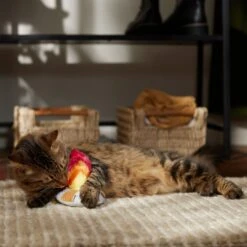 Frisco Fall Campfire Plush Cat Toy With Catnip -Pet Supplies Discount Store 344178 PT3. AC SS1800 V1659023182