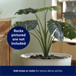 Frisco Hidden Planter Cat Litter Box, 16-in 12 Frisco Hidden Planter Cat Litter Box, 16-in -Pet Supplies Discount Store 345566 PT4. AC SS1800 V1668737273