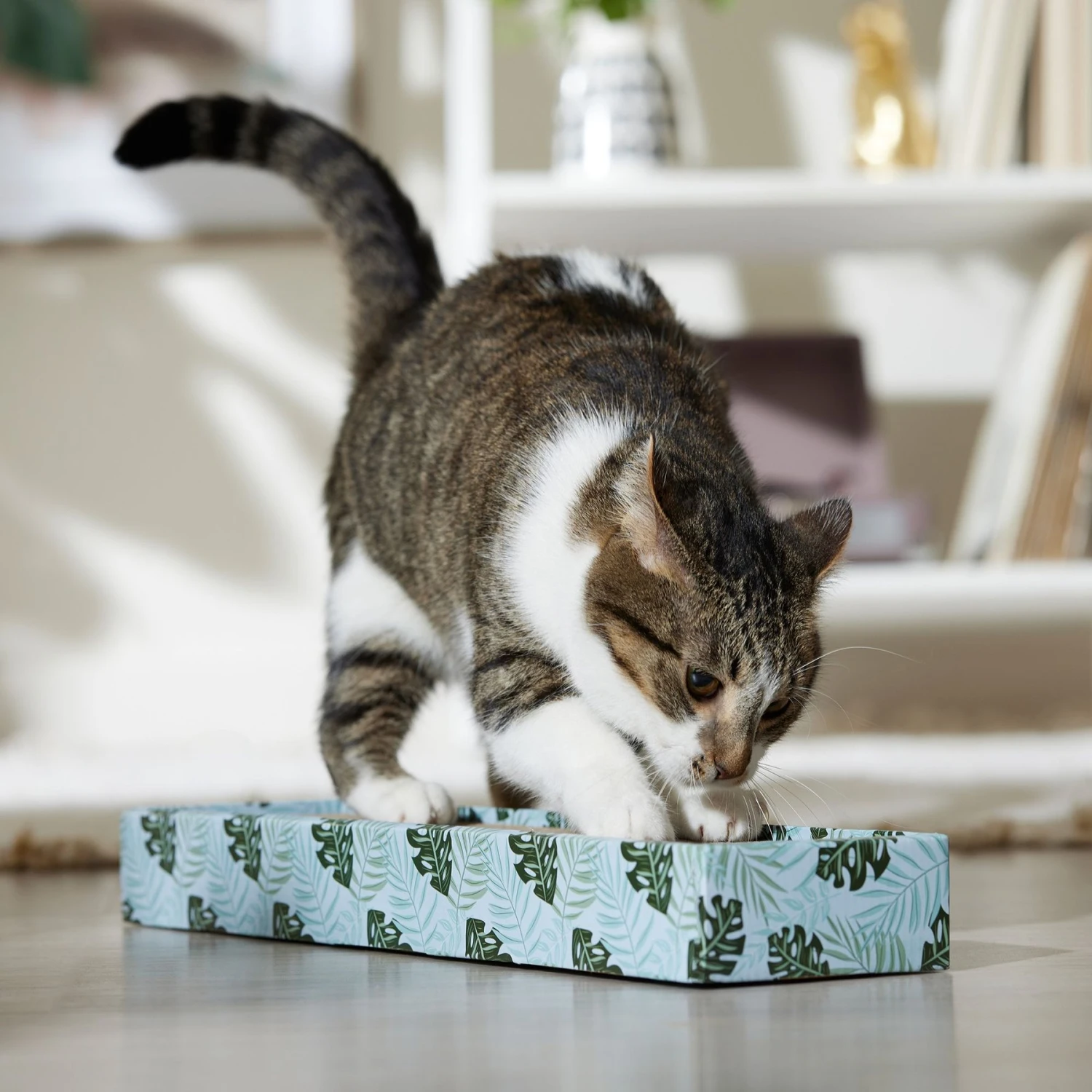 Frisco Single-Wide Cat Scratcher Toy With Catnip, Tropical Paradise, 2 Count 5 Frisco Single-Wide Cat Scratcher Toy With Catnip, Tropical Paradise, 2 Count - Image 3