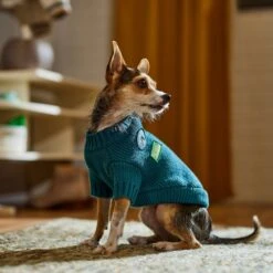 Frisco Teal Button Down Dog & Cat Sweater -Pet Supplies Discount Store 353580 PT7. AC SS1800 V1660749932