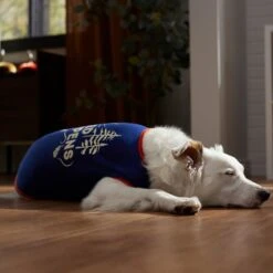 Frisco Shed Happens Dog & Cat T-Shirt 14 Frisco Shed Happens Dog & Cat T-Shirt -Pet Supplies Discount Store 353698 PT7. AC SS1800 V1660749629