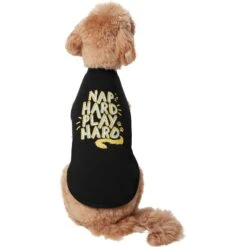 Frisco Nap Hard Play Hard Dog & Cat T-Shirt -Pet Supplies Discount Store 353713 PT2. AC SS1800 V1659010872