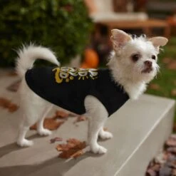 Frisco Nap Hard Play Hard Dog & Cat T-Shirt -Pet Supplies Discount Store 353713 PT7. AC SS1800 V1660750172