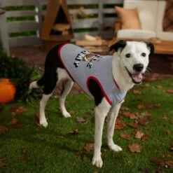 Frisco Little Champ Dog & Cat T-Shirt -Pet Supplies Discount Store 353722 PT7. AC SS1800 V1660749632