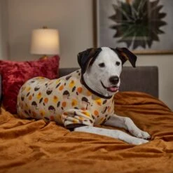 Frisco Hedgehog Dog & Cat Fleece Pajamas -Pet Supplies Discount Store 353730 PT6. AC SS1800 V1660749991