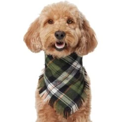 Frisco Plaid Fringe Dog & Cat Bandana 12 Frisco Plaid Fringe Dog & Cat Bandana -Pet Supplies Discount Store 353769 PT2. AC SS1800 V1659010812