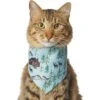 Frisco Moose Lodge Dog & Cat Bandana -Pet Supplies Discount Store 353774 MAIN. AC SS1800 V1659008187