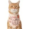 Frisco Cutest Pumpkin In The Patch Dog & Cat Bandana -Pet Supplies Discount Store 353777 MAIN. AC SS1800 V1659010811
