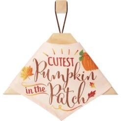 Frisco Cutest Pumpkin In The Patch Dog & Cat Bandana 14 Frisco Cutest Pumpkin In The Patch Dog & Cat Bandana -Pet Supplies Discount Store 353777 PT4. AC SS1800 V1663343389