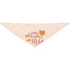 Frisco Cutest Pumpkin In The Patch Dog & Cat Bandana 15 Frisco Cutest Pumpkin In The Patch Dog & Cat Bandana -Pet Supplies Discount Store 353777 PT5. AC SS1800 V1659725687