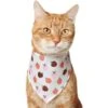 Frisco Apple Dog & Cat Bandana -Pet Supplies Discount Store 353786 MAIN. AC SS1800 V1659011013