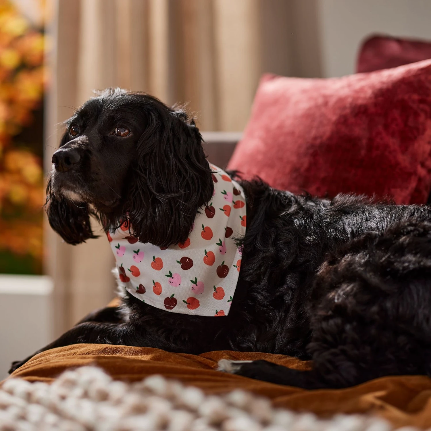 Frisco Apple Dog & Cat Bandana 9 Frisco Apple Dog & Cat Bandana - Image 7