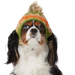 Frisco Striped Poof Dog & Cat Knitted Hat 10 Frisco Striped Poof Dog & Cat Knitted Hat -Pet Supplies Discount Store 353793 PT2. AC SS1800 V1659008241