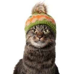 Frisco Striped Poof Dog & Cat Knitted Hat 11 Frisco Striped Poof Dog & Cat Knitted Hat -Pet Supplies Discount Store 353793 PT3. AC SS1800 V1659011014