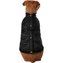 Frisco Lightweight Belted Puffer Dog & Cat Jacket -Pet Supplies Discount Store 353825 PT2. AC SS1800 V1659010815