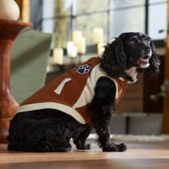 Frisco Lightweight Varsity Dog & Cat Jacket -Pet Supplies Discount Store 353861 PT7. AC SS1800 V1660749417