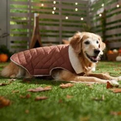 Frisco Mid-Heavyweight Fleece Lined Quilted Dog & Cat Coat -Pet Supplies Discount Store 353877 PT7. AC SS1800 V1660750171