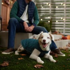 Frisco Mediumweight Reversible Dog & Cat Coat -Pet Supplies Discount Store 353932 PT7. AC SS1800 V1660749442