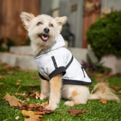 Frisco Mid-Heavyweight White Camouflage Dog & Cat Parka 16 Frisco Mid-Heavyweight White Camouflage Dog & Cat Parka -Pet Supplies Discount Store 353949 PT7. AC SS1800 V1660750112