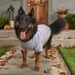 Frisco Pink Tie Dye Dog & Cat Hoodie 16 Frisco Pink Tie Dye Dog & Cat Hoodie -Pet Supplies Discount Store 353981 PT7. AC SS1800 V1660749835