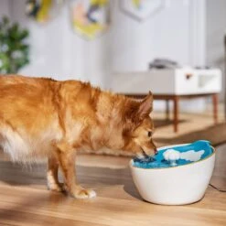 Frisco Ceramic Clouds Dog & Cat Fountain 12 Frisco Ceramic Clouds Dog & Cat Fountain -Pet Supplies Discount Store 355803 PT4. AC SS1800 V1665684810