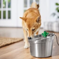 Frisco Stainless Steel Cactus & Leaf Dog & Cat Fountain -Pet Supplies Discount Store 355814 PT5. AC SS1800 V1665683869