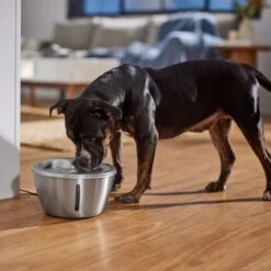 Frisco Stainless Steel Heart Dog & Cat Fountain 14 Frisco Stainless Steel Heart Dog & Cat Fountain -Pet Supplies Discount Store 355816 PT5. AC SS1800 V1665684540